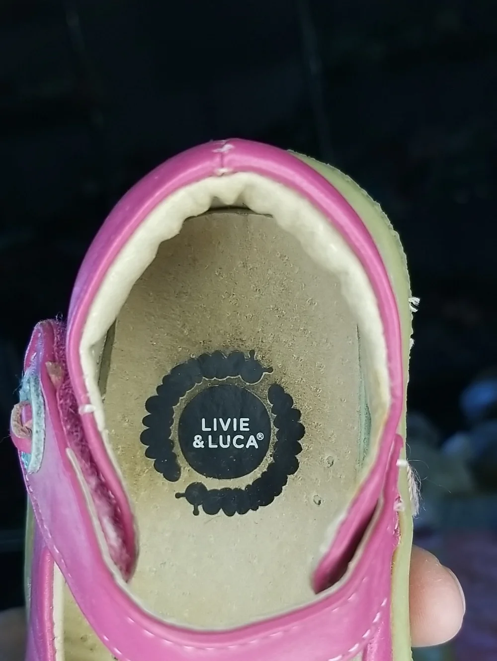Livie & Luca Pink Leather Mary Jane Shoes with Light Pink Bird Size 5 Pio Pio